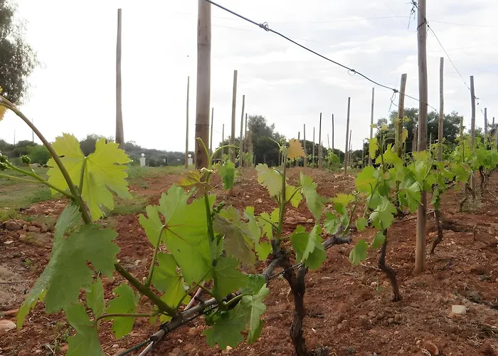 Quinta Magnolia Вилла *