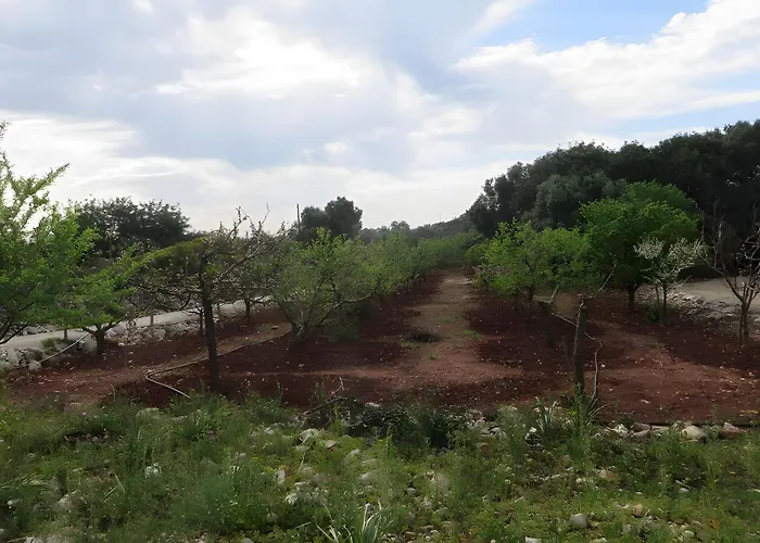 Quinta Magnolia