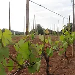 Quinta Magnólia Alojamento de Turismo Rural *