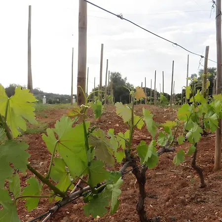 Quinta Magnolia Willa *